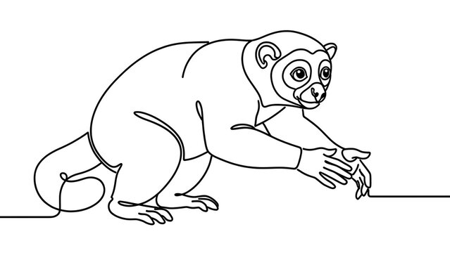Cute cartoon slow loris white background.