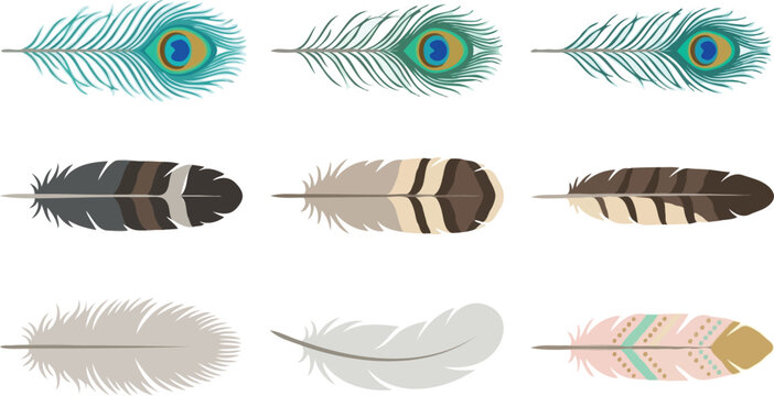 Beautiful feather vector icon set featuring elegant peacock feathers, rustic striped bird plumage, soft down feathers, and bohemian tribal style arrow elements.