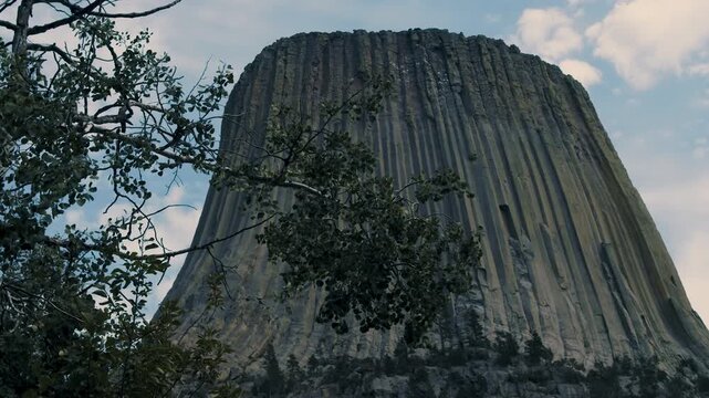 Devils Tower Stone Columns Framed by Trees beneath Cloudy Sky