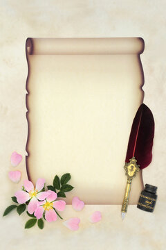Writing a romantic old fashioned love letter to a lover on faded paper scroll on parchment, quill pen, ink bottle with pink wild rose flowers. Copy space.