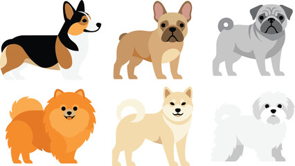 Fototapeta premium Flat vector set of small dog breeds including corgi french bulldog pug shiba inu and pomeranian