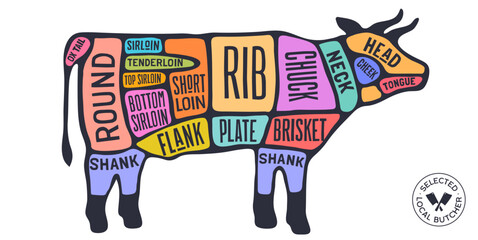Obraz premium Cow, Beef, hand-drawn butcher cuts meat guide. Color butcher beef chart cow silhouette scheme, beef cuts chart butcher shop poster diagram, meat guide beef cuts chart. Vector illustration