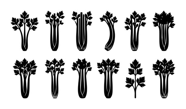 Celery Stalk Vector Icons Set, Fresh Green Vegetable Illustrations, Healthy Food Graphics, Organic Produce Design Elements, Culinary Ingredient Silhouettes