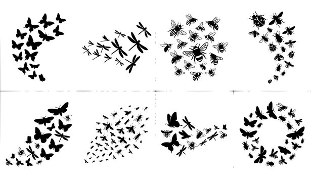 Black Silhouette Flying Insect Cluster Vector Set with Butterflies Dragonflies Bees and Ladybugs