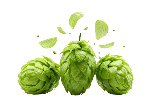 extreme macro of three fresh emerald green hop flower cones (*humulus lupulus*) with microscopic, dew-kissed texture, isolated on transparent. floating bracts suggest flavor release. concept for