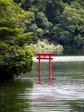 池の上の鳥居