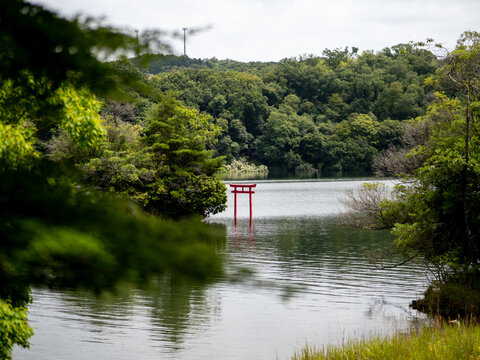 池の上の鳥居