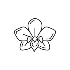 Fototapeta premium Dendrobium orchid flower isolated thin line icon. Vector blooming jasmine floral design element, cassia fistula linear sign. Thailand or Thai national flower, botanical decoration exotic plant blossom