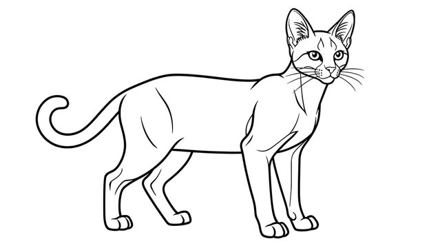 Elegant Siamese cat illustration white background.