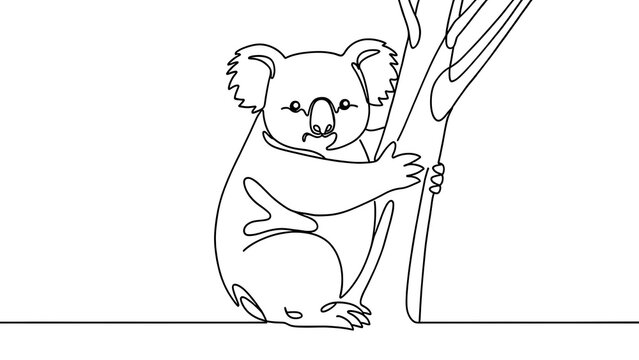 Cute koala illustration on white background.