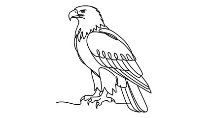 Naklejka premium Bald eagle line drawing illustration white background.