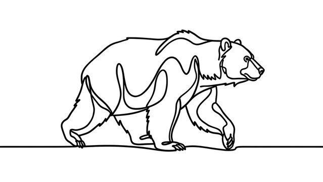 Minimalist bear illustration on white background.