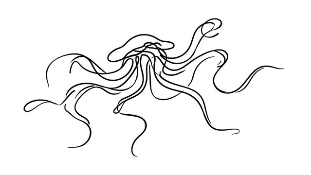 Elegant octopus line art illustration white background.
