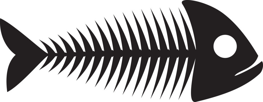 Fishbone under x ray technology isolated ancient fossils of river or marine fish. Vector aquatic vertebrate with spine, skull and tail, skinned trout silhouette. Anchovy or herring, food wastes