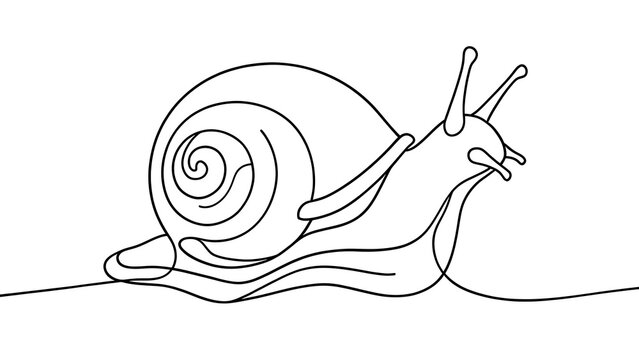 Simple snail line art drawing on white background.