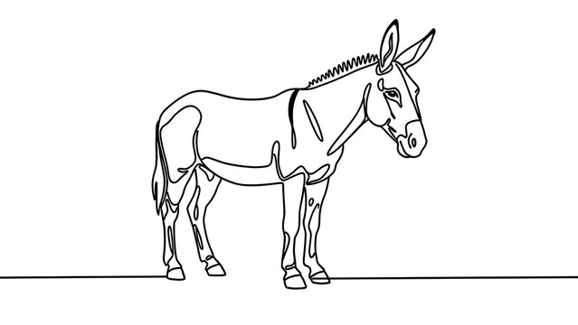 Simple donkey line drawing on white background.