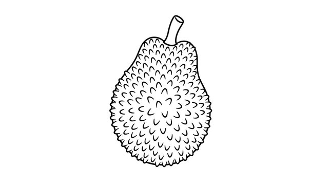Jackfruit illustration on white background.