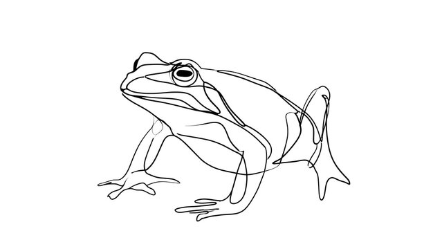 Minimalist line art frog illustration white background.