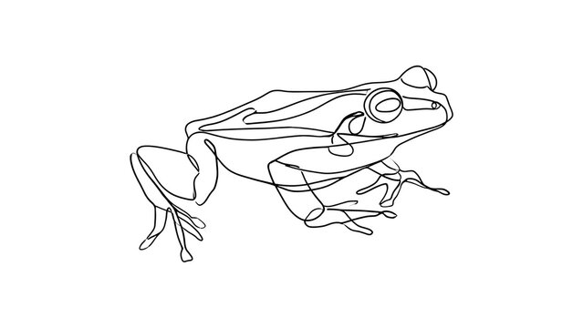 Line art frog illustration white background.