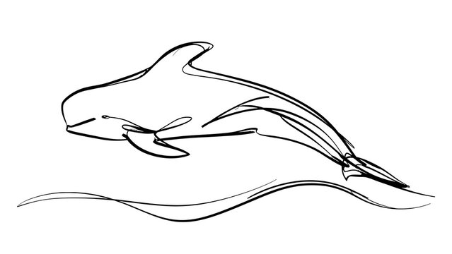 Minimalist whale line art illustration white background.