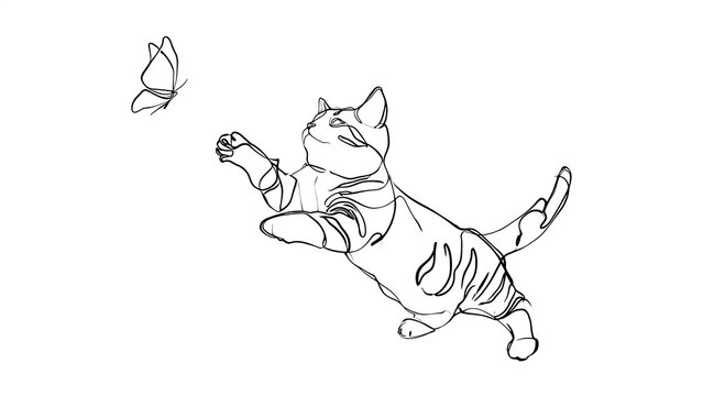 Playful cat chasing butterfly on white background.