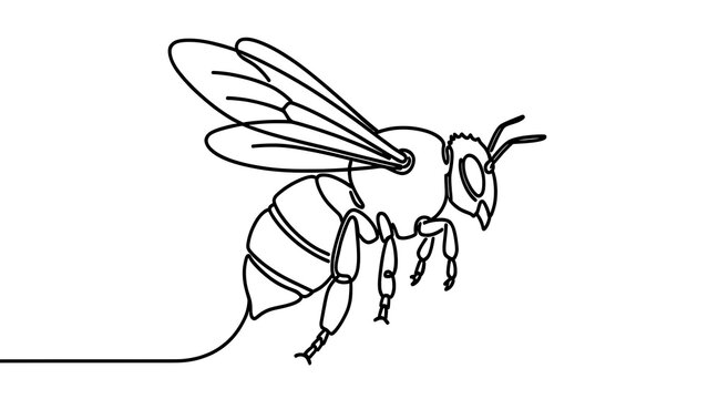 Cartoon bee drawing on white background.