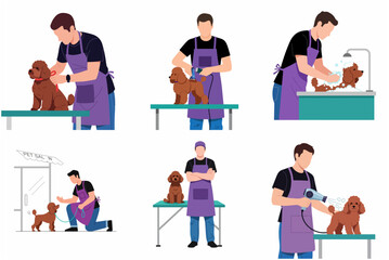 Fototapeta premium Professional pet groomer grooming a brown poodle dog set of vector illustrations isolated on white background.