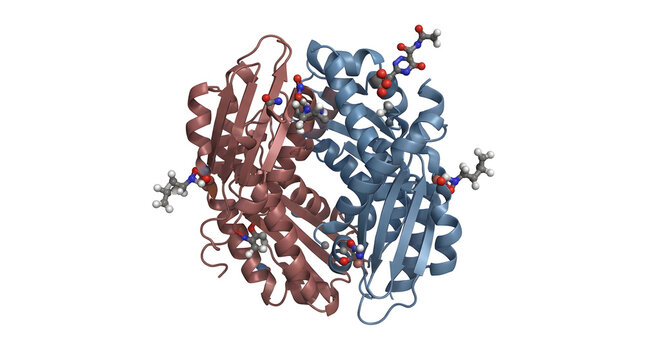 Highly Detailed 3D Render of a Hapten Molecule Binding to a Carrier Protein Complex on White Background