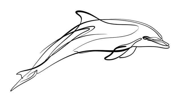Elegant dolphin line art illustration white background.