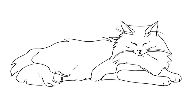 Sleeping fluffy cat illustration white background.