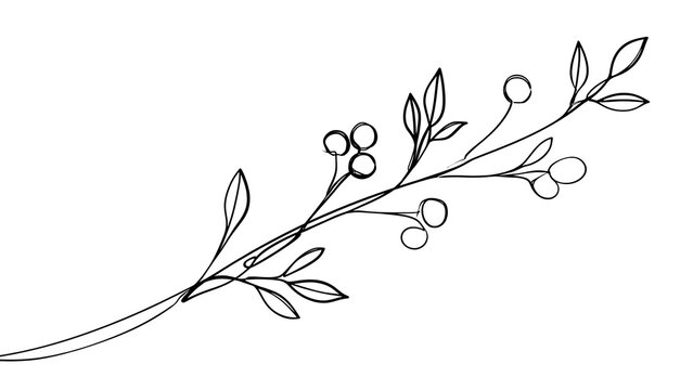 Elegant floral branch illustration white background.