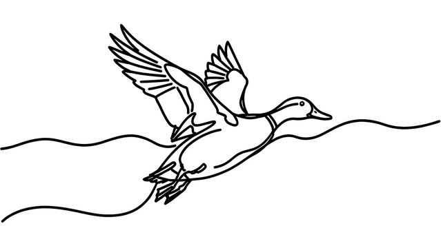 Flying duck illustration on white background.
