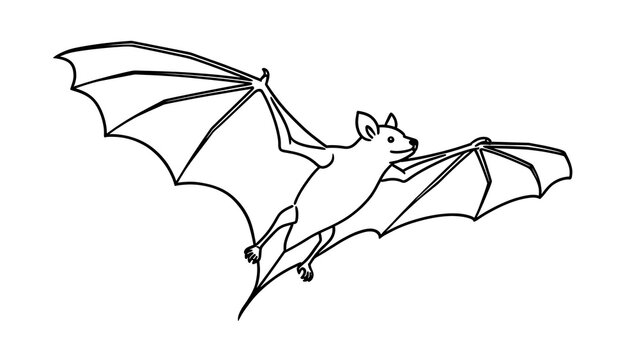 Flying bat illustration on white background.