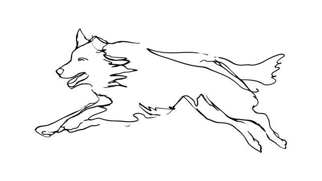 Running wolf silhouette illustration on white background.
