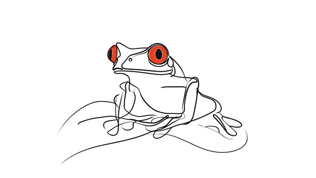 Red eyed tree frog illustration white background.