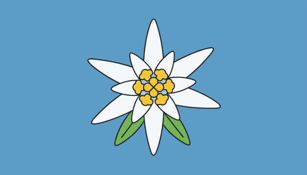 Simple graphic illustration of a white edelweiss alpine flower with green leaves over a light blue background.