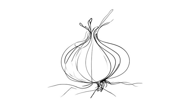 Hand drawn onion sketch on white background.