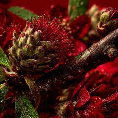 Obraz premium Nature's renewal: a dance of spring rain and budding life. Upscale style. Colorful wildflowers and leaves under a spring rain symphony. Sophisticated pose. High-end fashion.