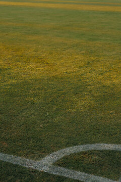 Fresh green grass texture on football pitch field, soccer stadium lawn surface and sports ground background concept