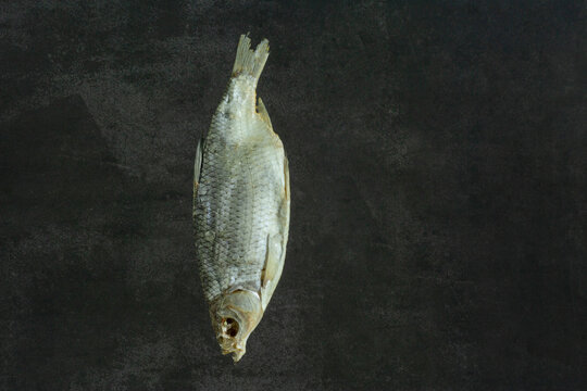 fish on the hook