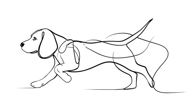 Beagle dog running illustration white background.