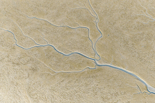 tidal creek patterns on coastal mudflat