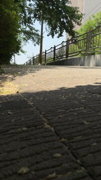 Sunlit uphill walkway with railing and fallen blossoms in a summer neighborhood, vertical video