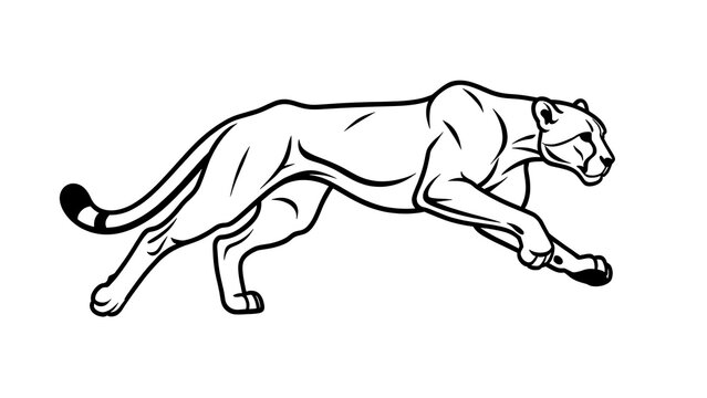 Running cougar illustration on white background.