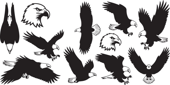 Bald eagle vector collection featuring black silhouette illustrations of flying predatory birds and powerful head profile portraits isolated on white background