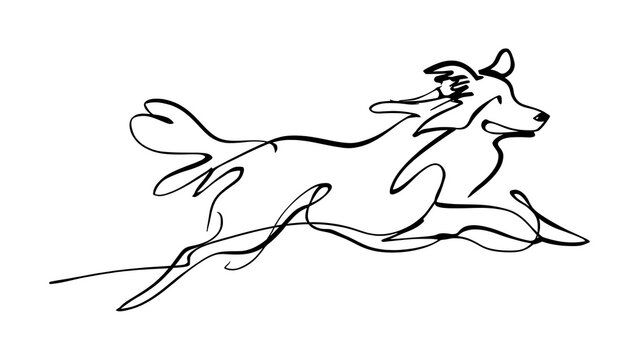 Elegant line art dog running white background.