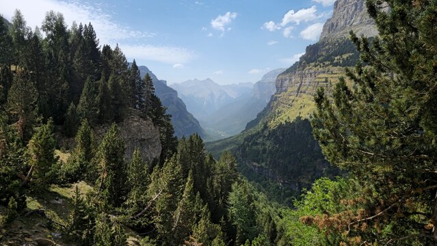 Deep mountain valley surrounded by pine forest in Pyrenees National Park