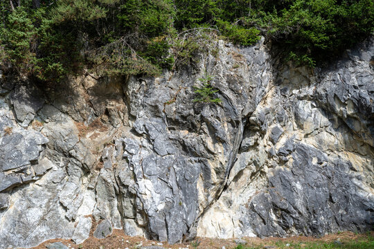 Paroi rocheuse escarp&eacute;e en calcaire stri&eacute; avec v&eacute;g&eacute;tation alpine &agrave; la base, g&eacute;ologie et texture de roche naturelle.