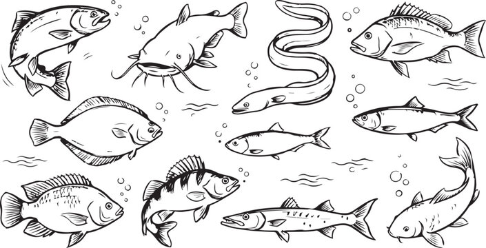 Freshwater and marine fish hand drawn sketch vector collection featuring diverse river species bubbles and underwater elements isolated on white background