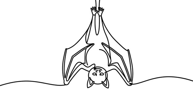 Hanging bat illustration on white background.